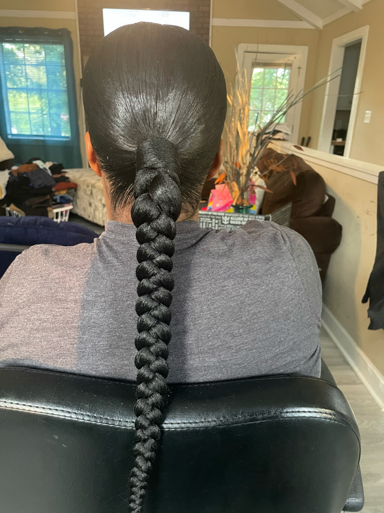 Braided Ponytail