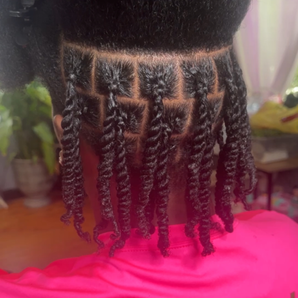 Mens Twists/ Plaits at HairByZhordanReignn in Smyrna, TN