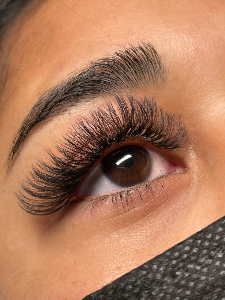 Volume Lash Application