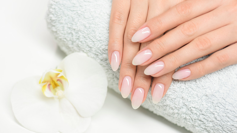 Shellac Manicure