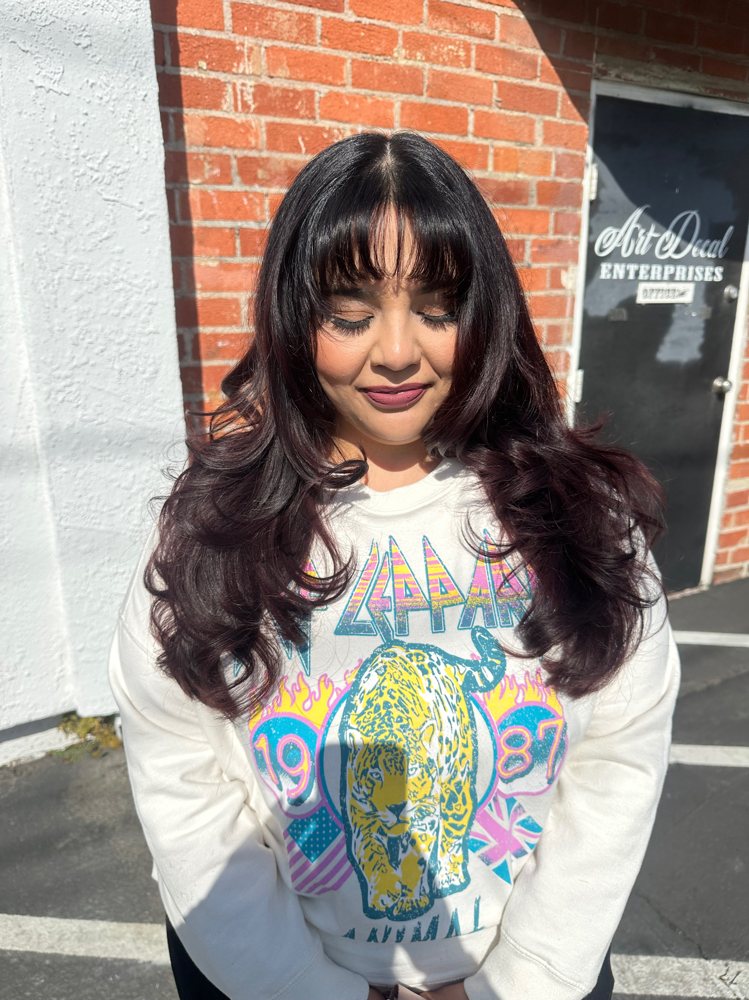 Basic Haircut (Dry Hair )