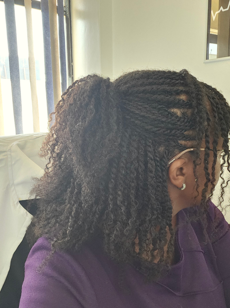 Mini Twists (human)