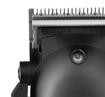 Clipper Cut