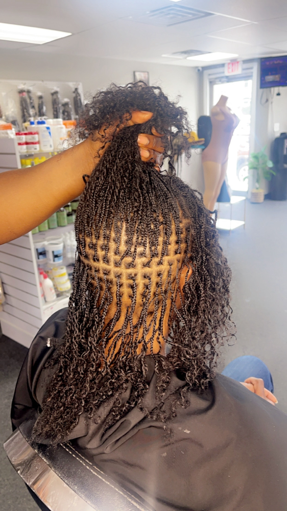 Special Micro Twist 09/15-10/15