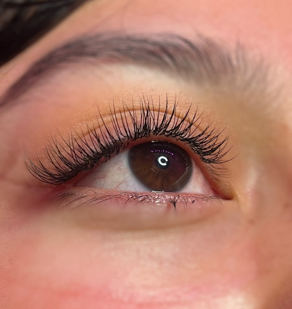 Classic Style Lashes