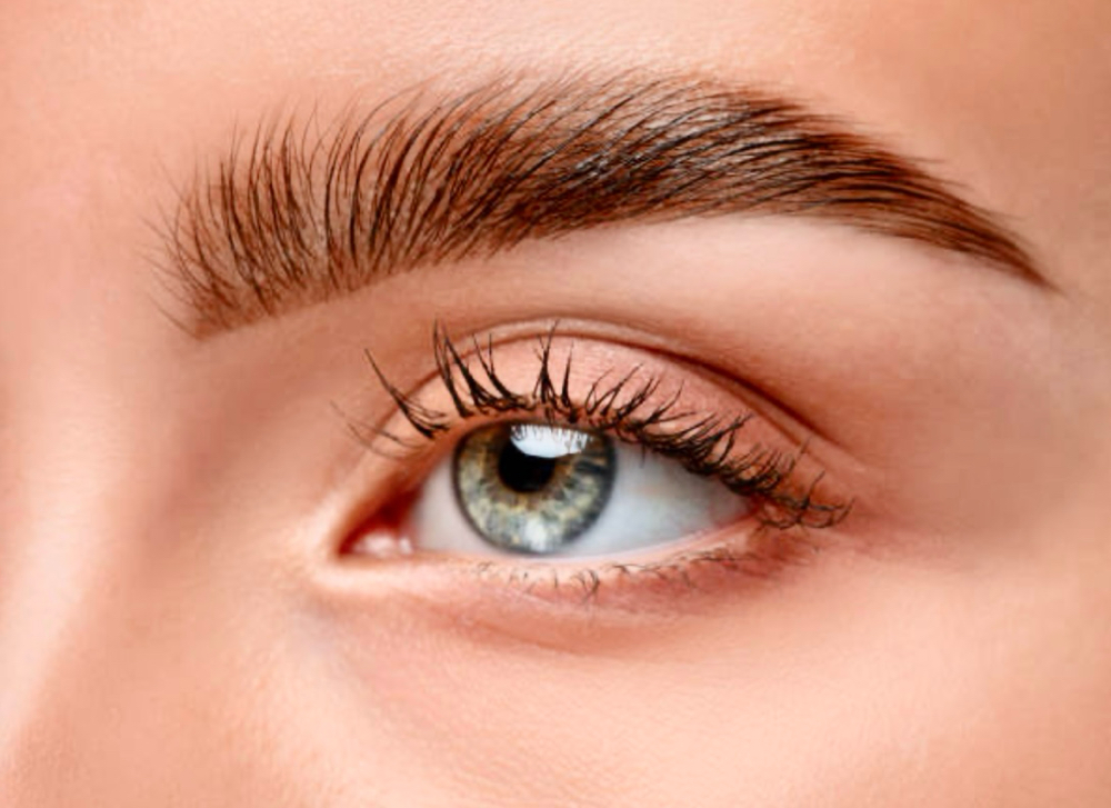 Brow Lamination + Tint