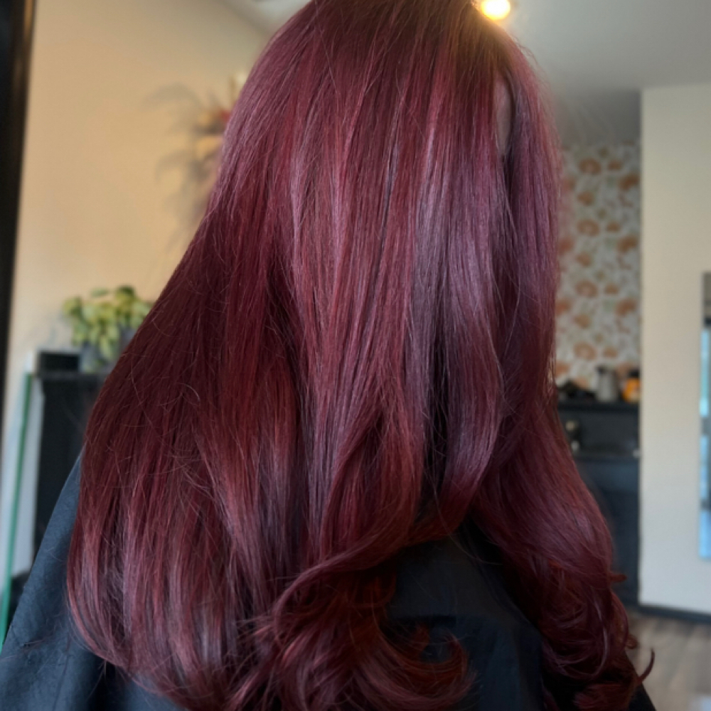 All Over Color at New Moon Studio in Southaven, MS