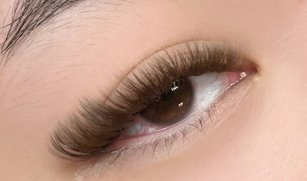 Brown Volume Set