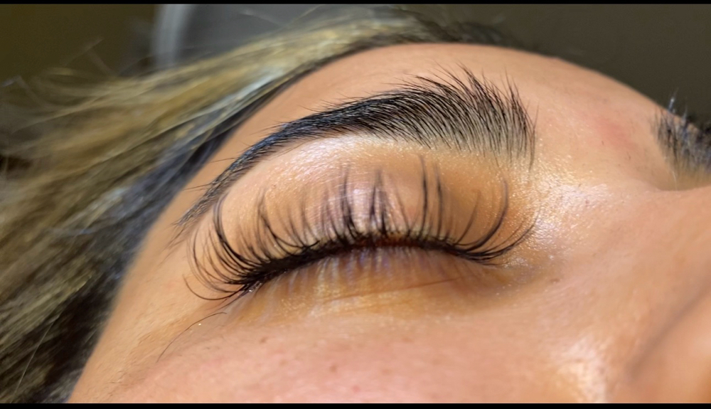 Classic Lash Extension