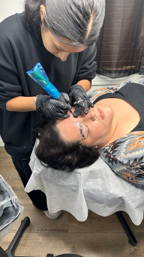 Ombre Powder Brow Training