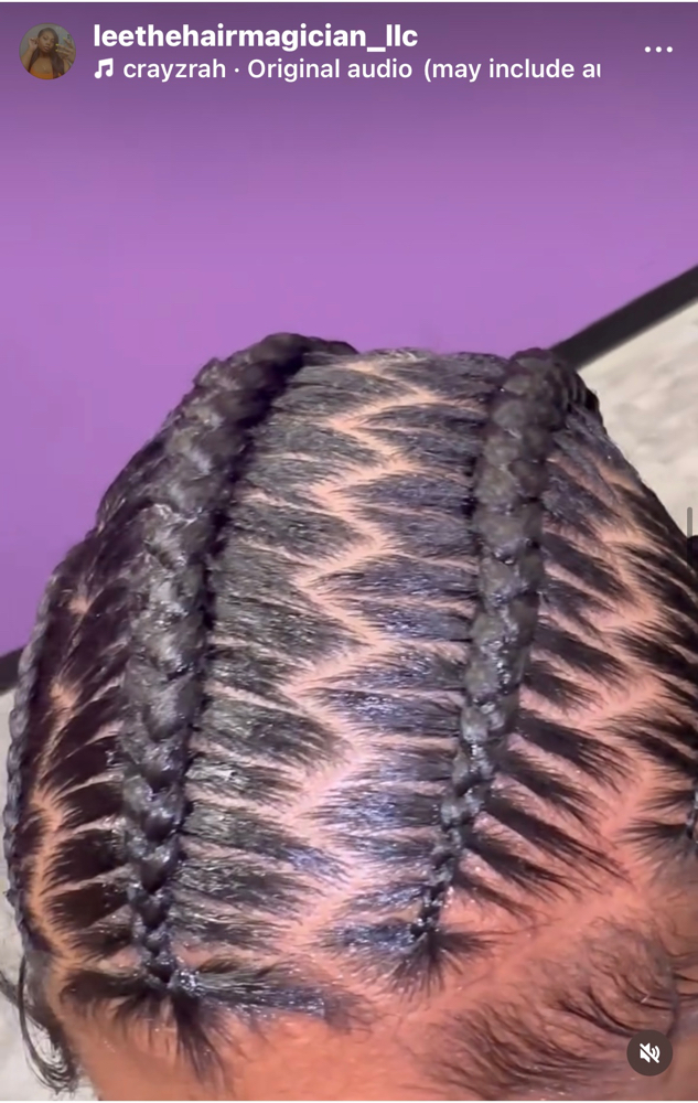 5-6 Stitch Braids at Lee The Hair Magician LLC in Detroit, MI