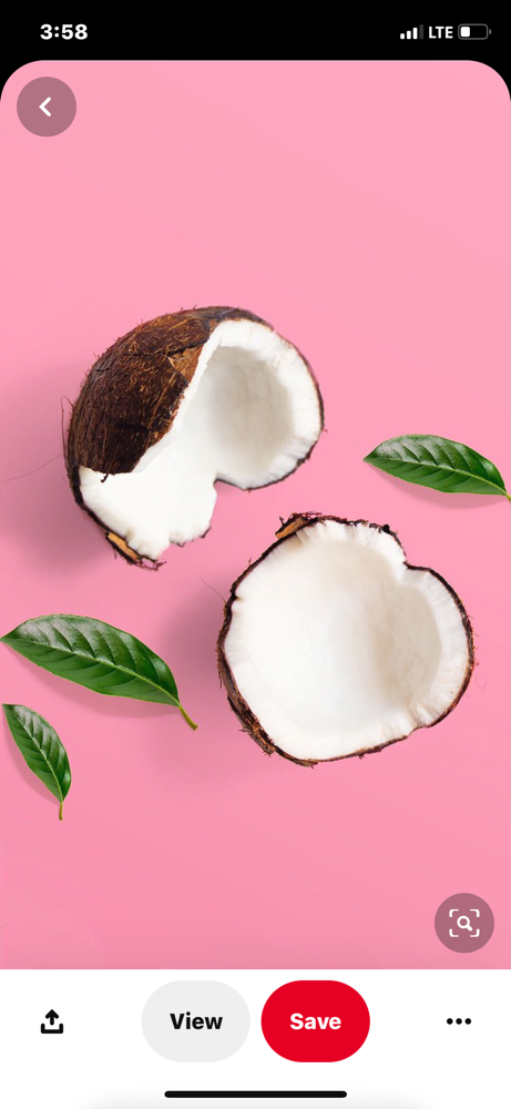 Lived In Coconut (Full Service)