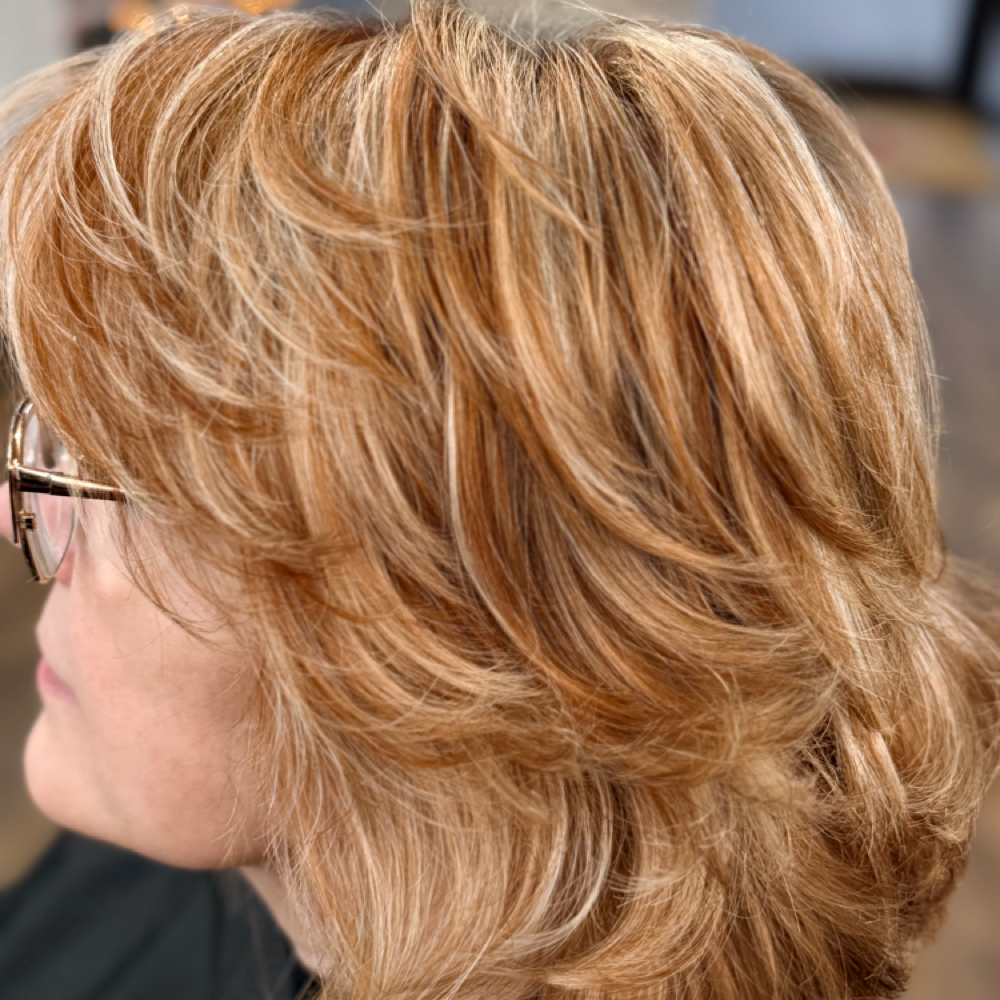 Partial Highlight + Lowlight + Trim at Pani Style Hair Salon in Katy, TX