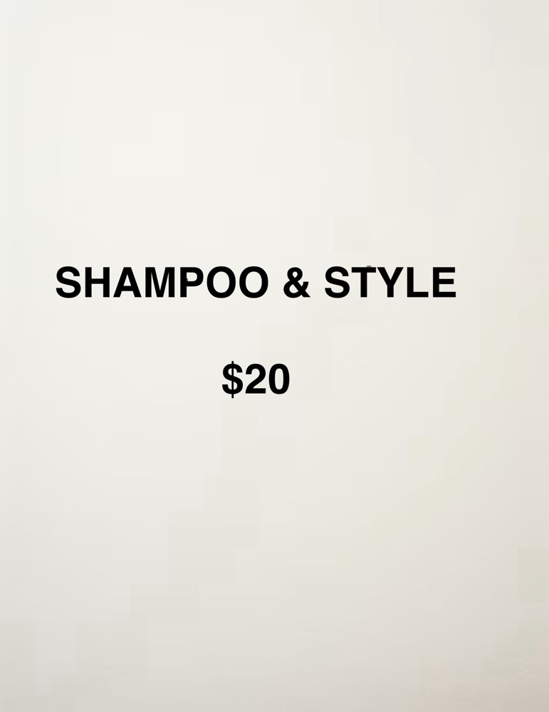 Shampoo & Style at Hair By Megan @ Allardt Beauty & Co in Allardt, TN