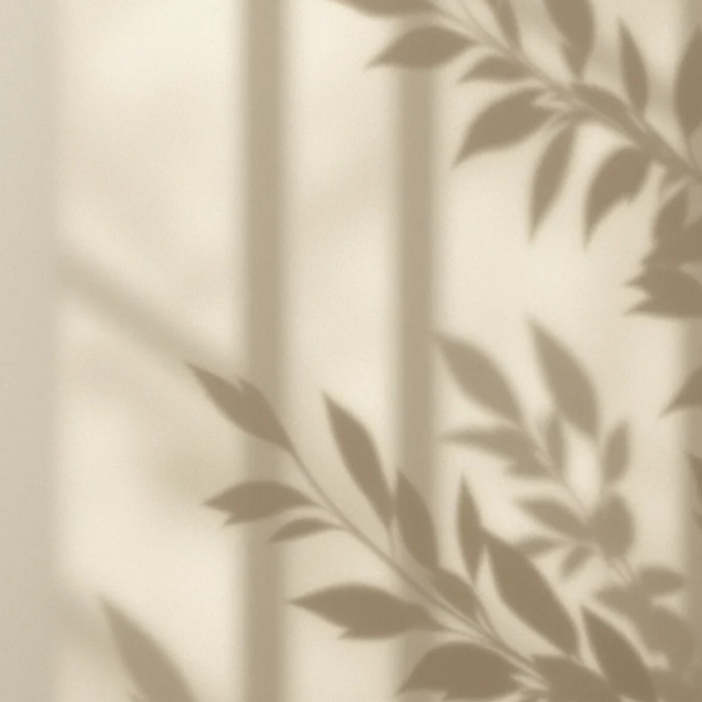🌿 The Timeless at Syd Skin Studio | Pgh Facial+Lash/Brow Bar in Gibsonia, PA