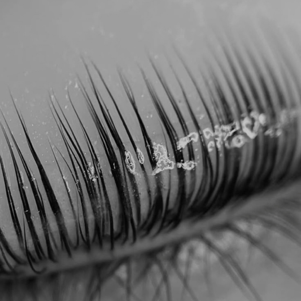 Korean Lash Lift at TheBlendedCollective in Greenwood, IN