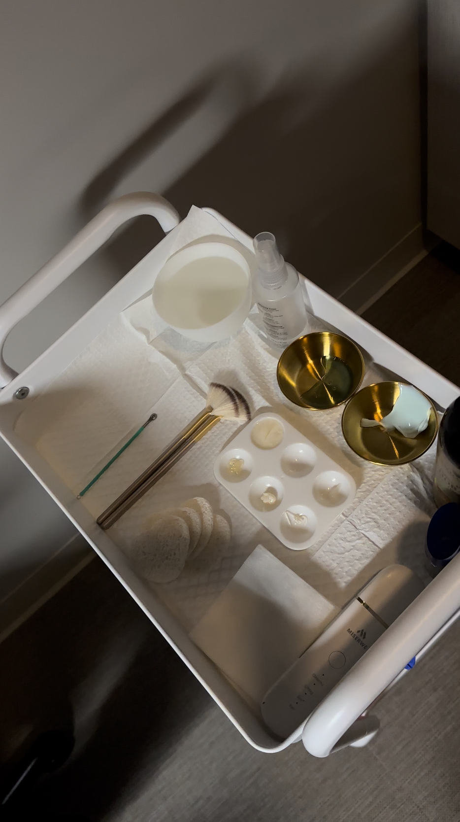 Diamond Facial at VanessasSkinStudio in Houston, TX