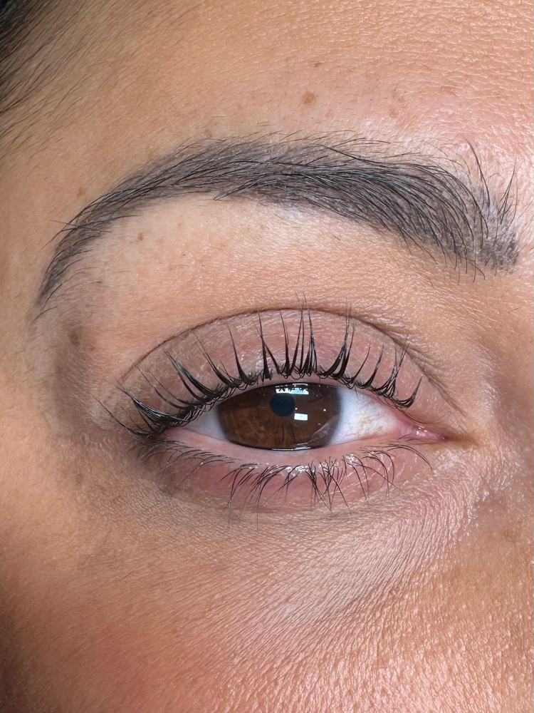 Lash Lift