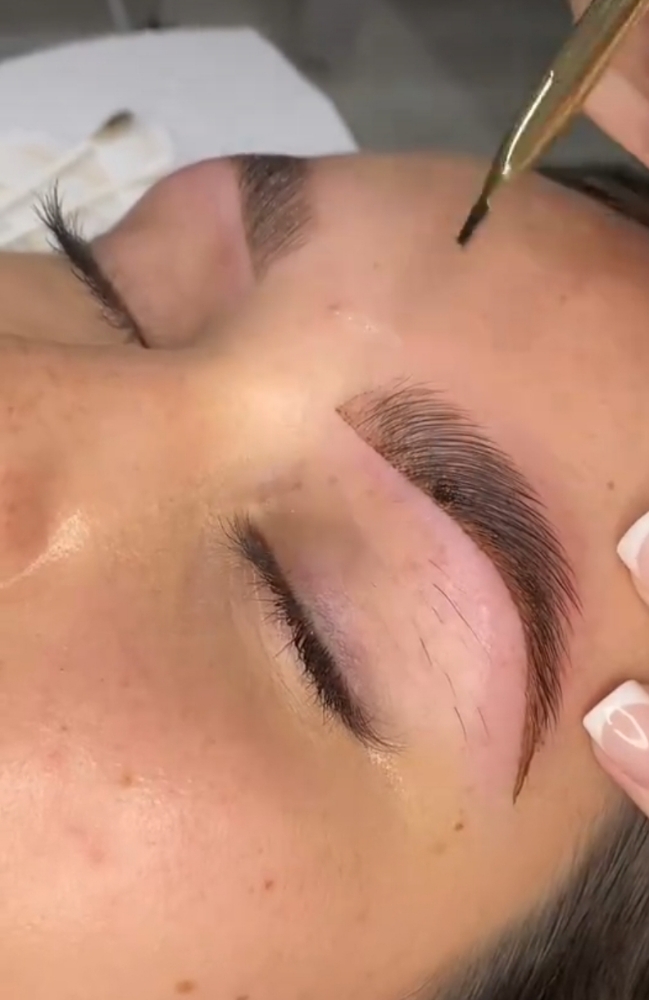 Touch Up, Brow Tint and Design