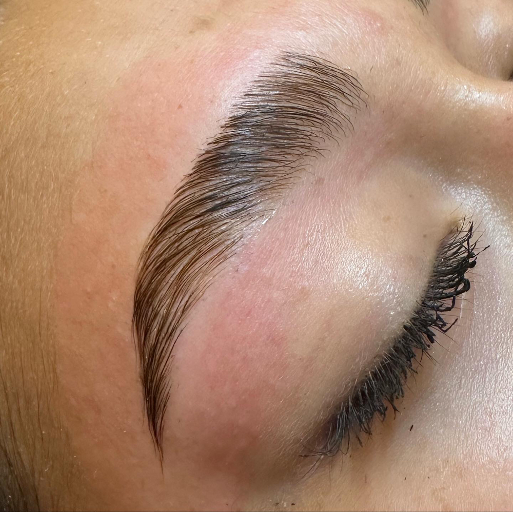 Eyebrow Lamination
