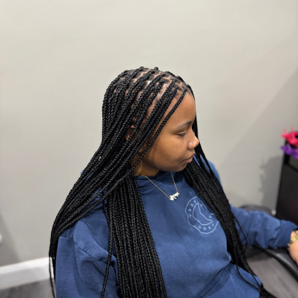 Small knotless box braids at Harmobeauxhair LLC in Portsmouth, VA