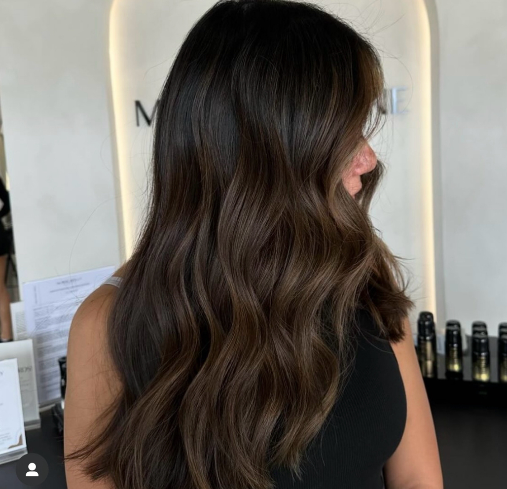 DIMENSIONAL BRUNETTE + BLOW OUT at hair by delina- ST. PETE in SAINT PETERSBURG, FL