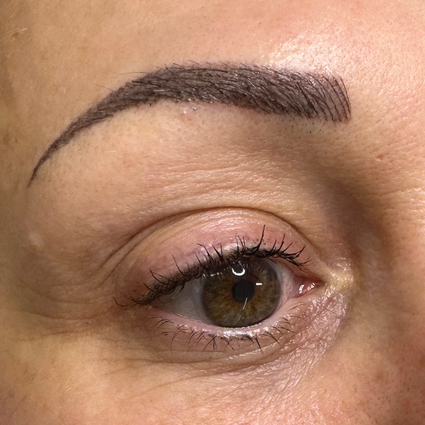 Brow Touch—up/Retoque de cejas at Vicasso Brows & Academy in Olive Branch, MS