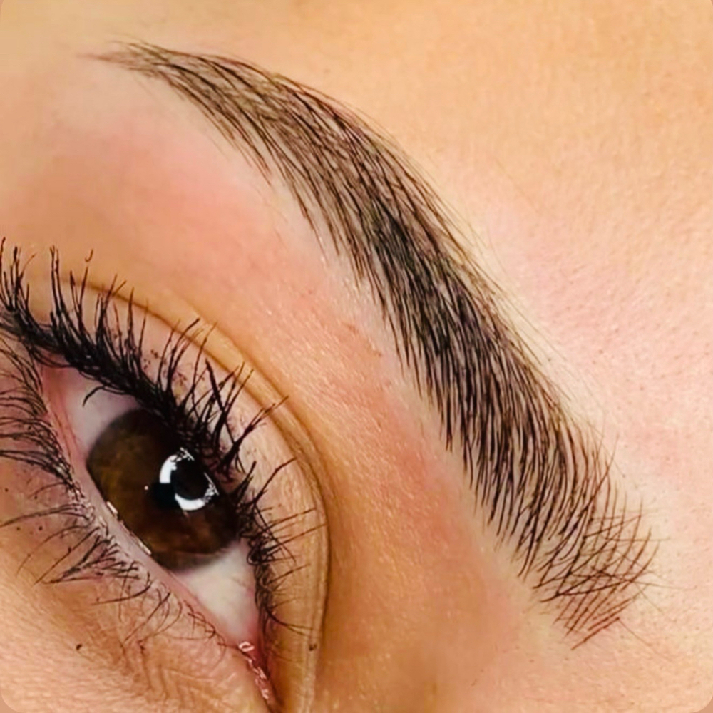 Microblade Brows at Terra  Defined Beauty in Gilbert, AZ