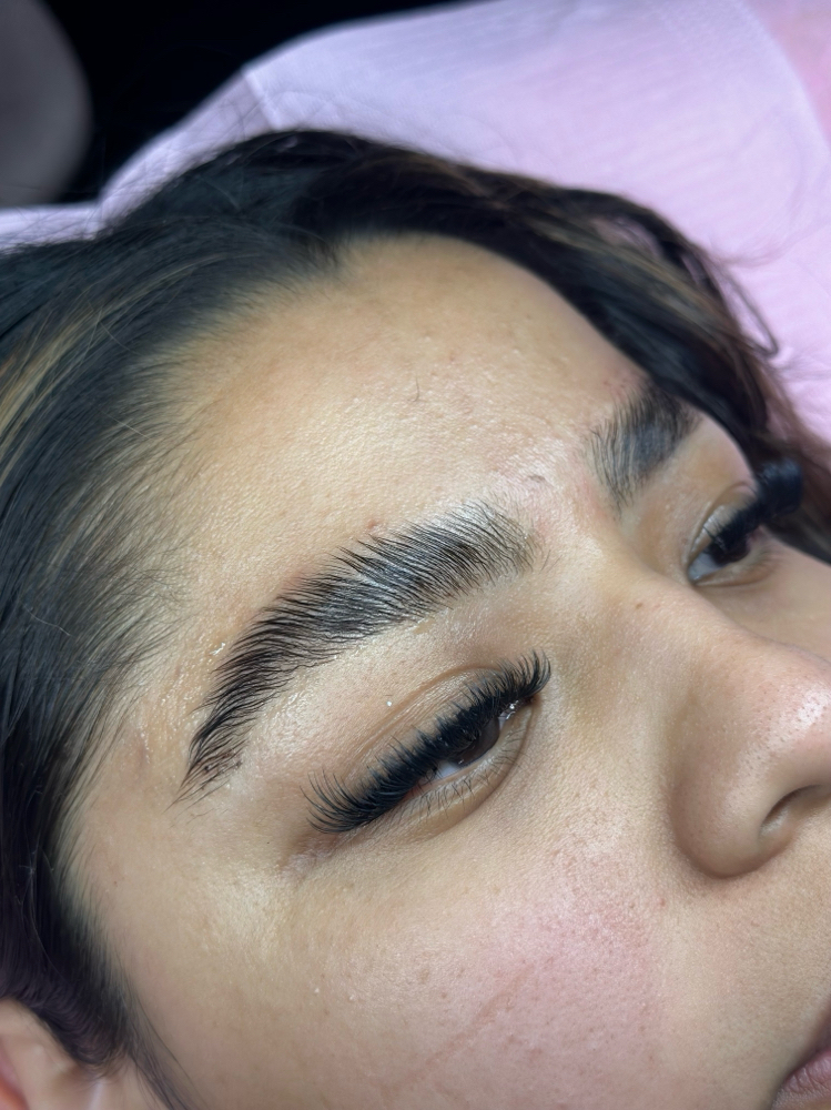 Lami + Wax + Tint