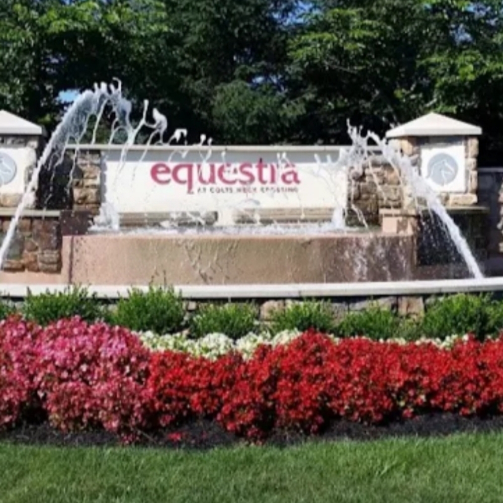 Root Touch-up & Cut( EQUESTRA) at Elevate Hair and Body Spa LLC in Farmingdale NJ, NJ