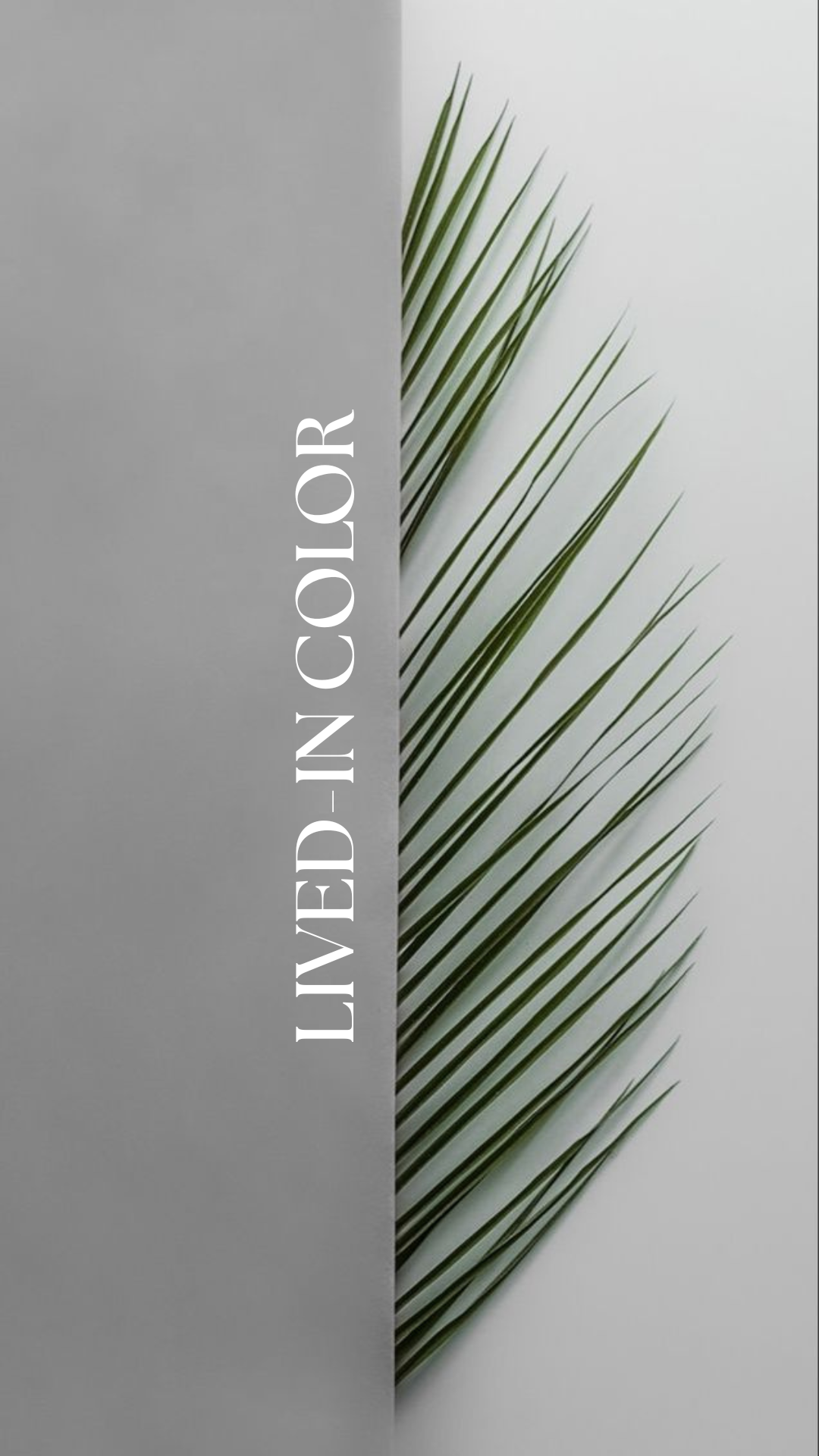Lived-In Color & Cut