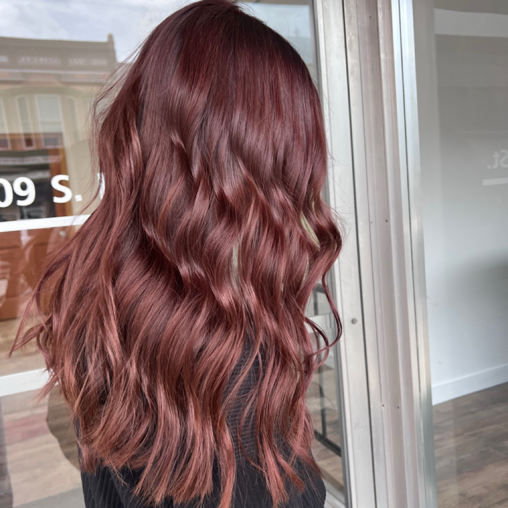 All Over Color at Birds Of A Feather                               Salon in Wakarusa, IN