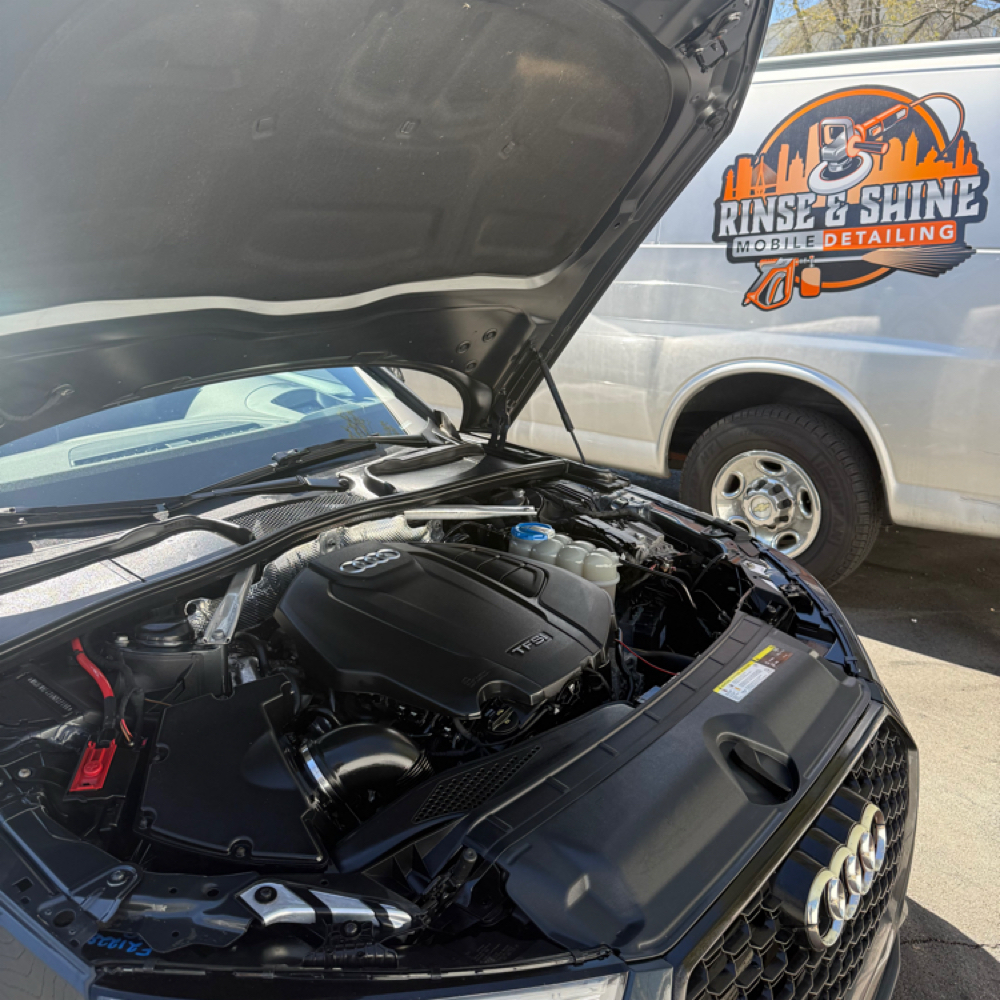 Engine Bay Cleaning at Rinse & Shine Mobile Detailing