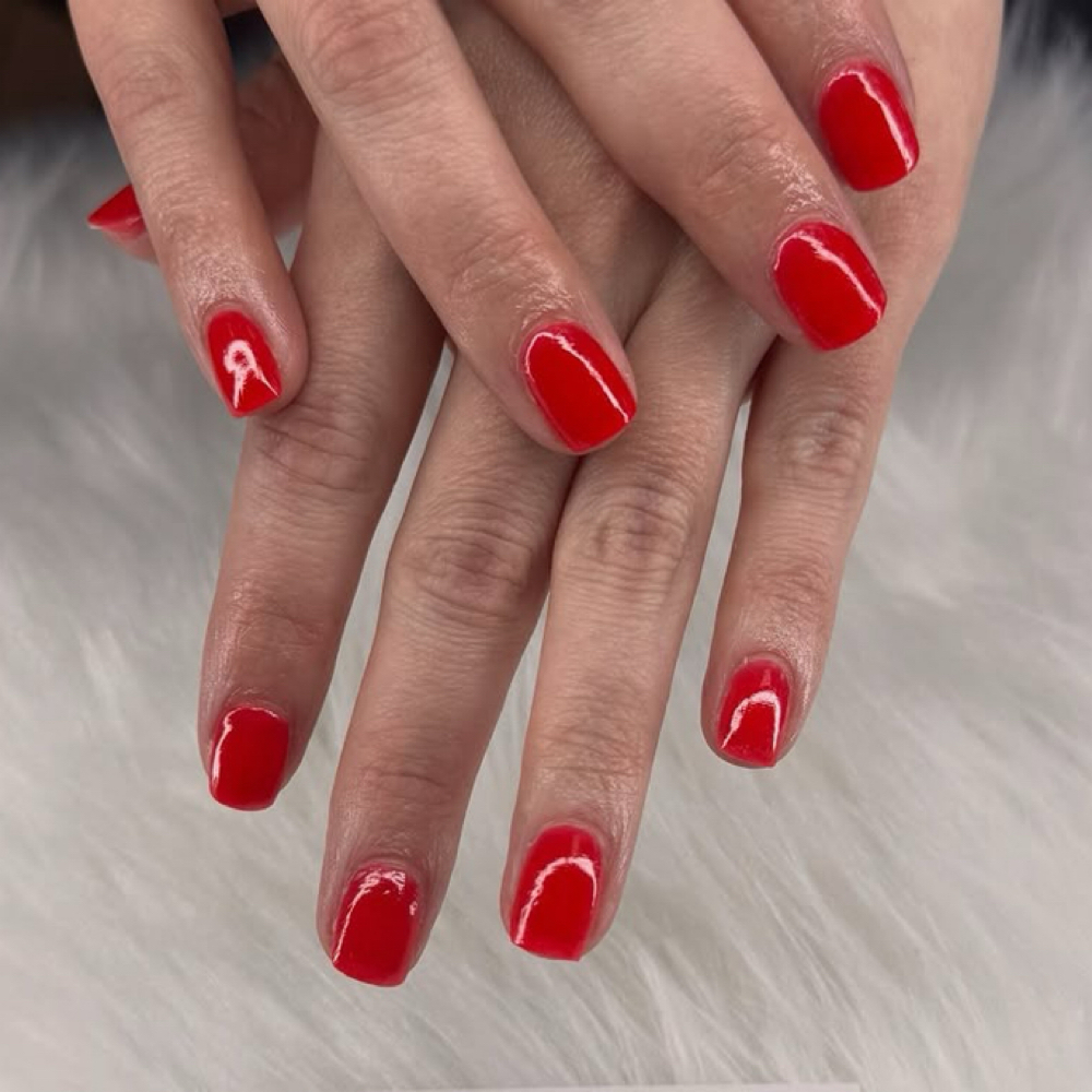 SNS/DIP - Full Set (one color) at Natis Nail Spa in San Marcos, TX