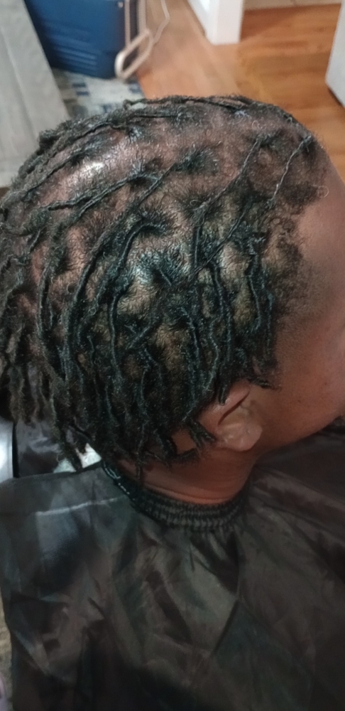 Starter Locs