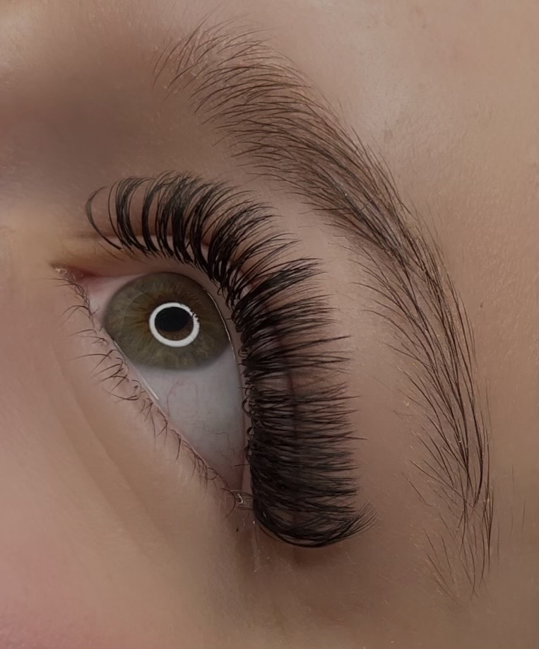 Hyrbid Extensions