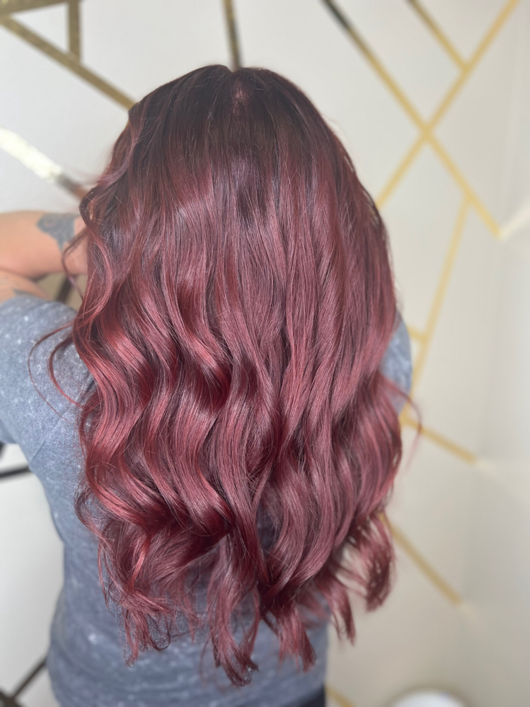 All Over Color at @HAIRBYJESSILYNN in Downers Grove, IL