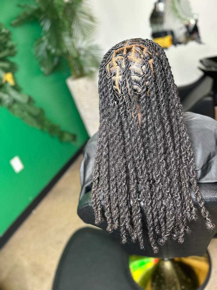 Loc Wash+Retwist+Style