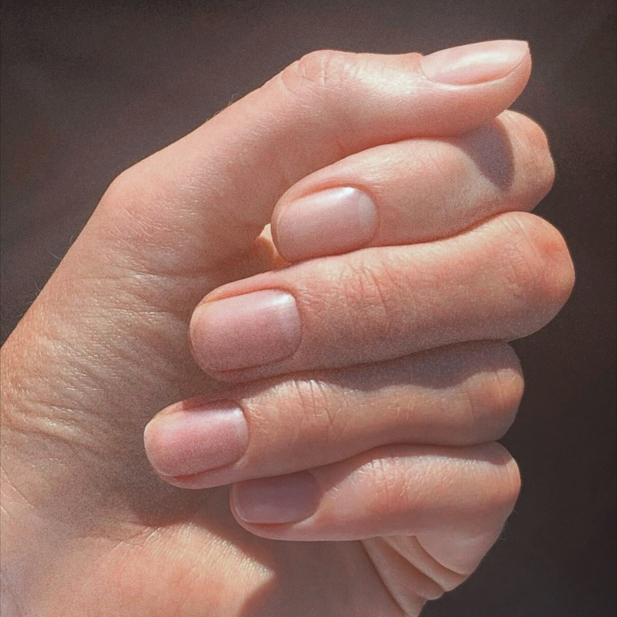 Timeless Manicure at Selah Nail Spa in portland, OR