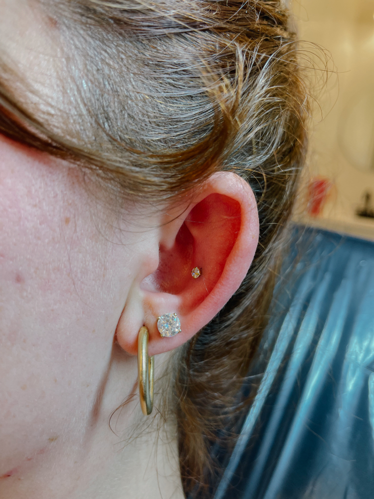 Conch at Pierced in Phases in Bountiful, UT