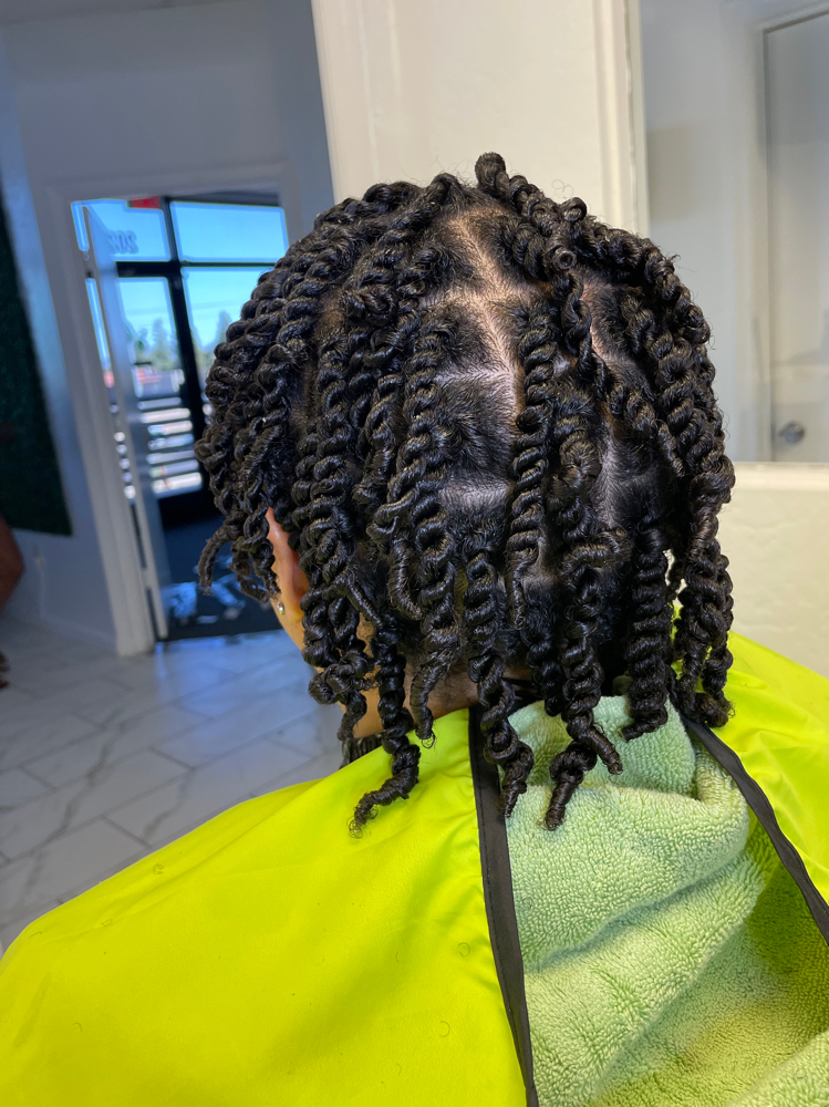 Two Strand Twist