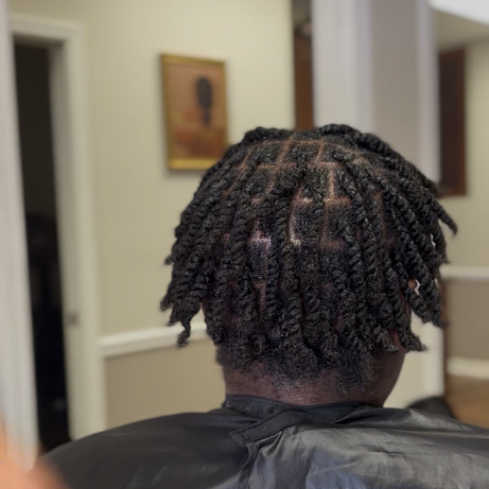 Royal two strand twists at KshareeKrowns in murfreesboro, TN