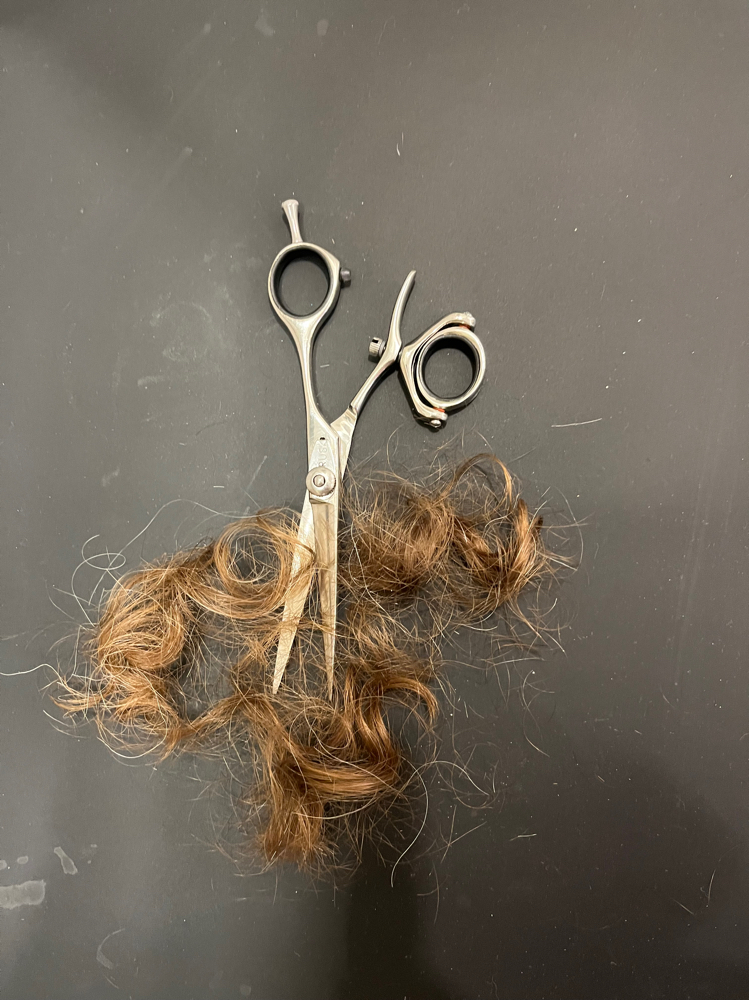 Curly Cut for New Guest