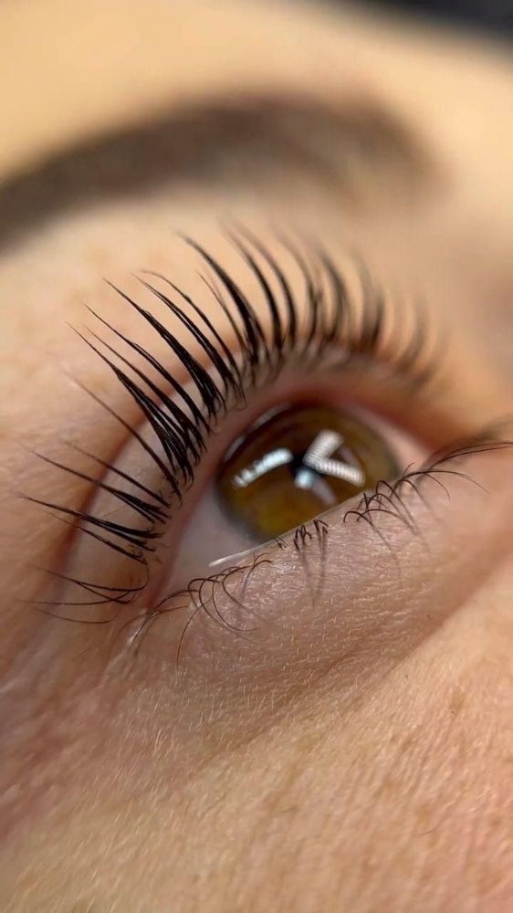 Lash Lift & Tinting