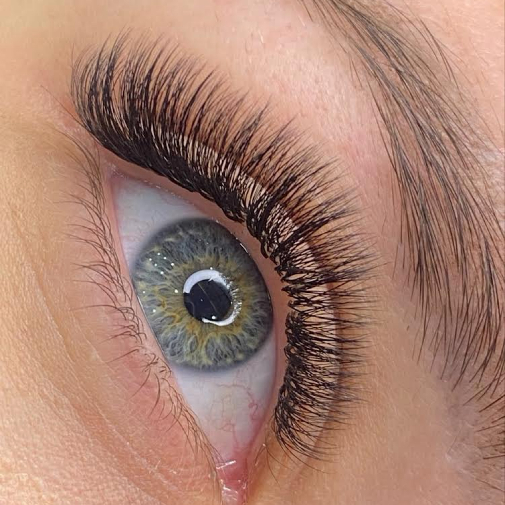 Light Volume at María Botero PMU in Ashburn, VA