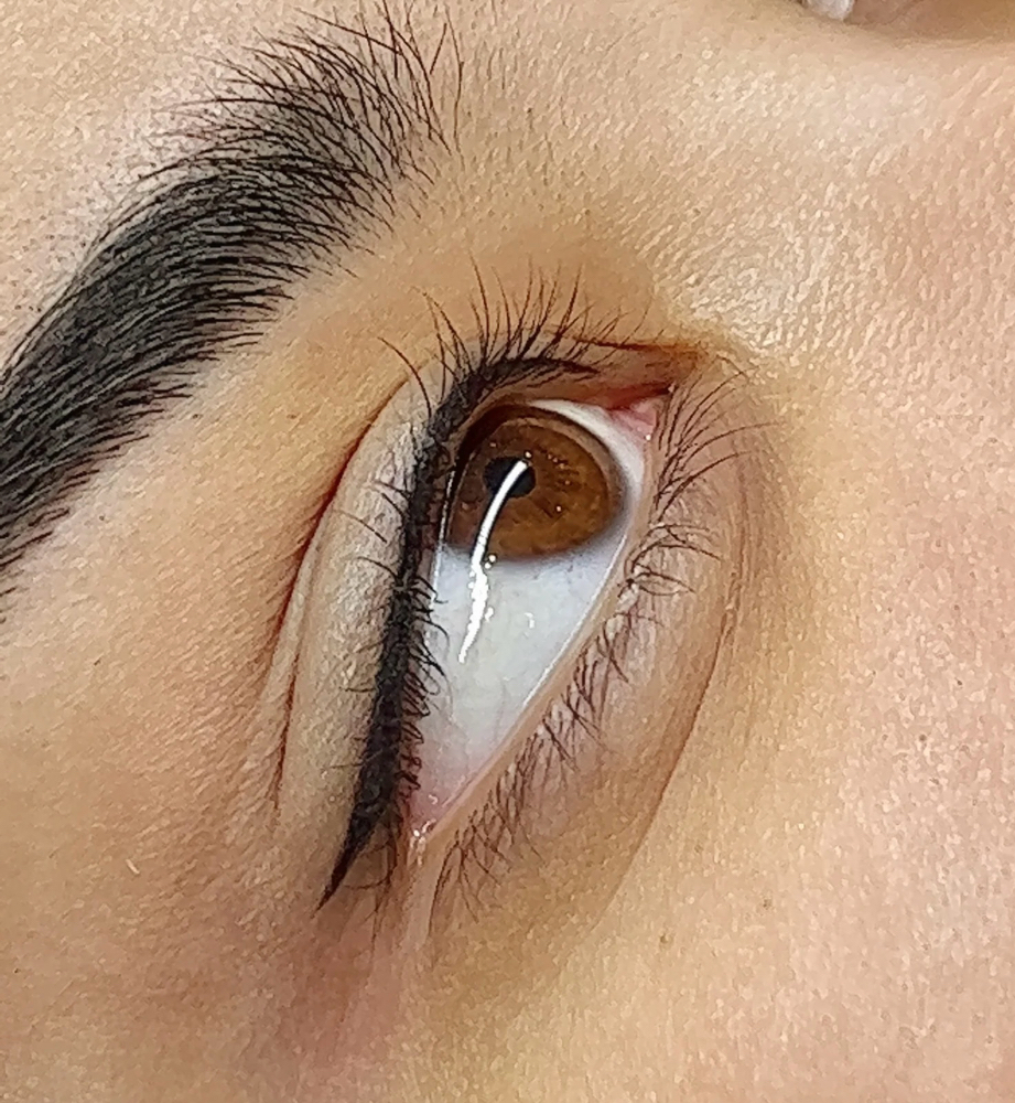 1-2 Year Lash Liner Touch Up