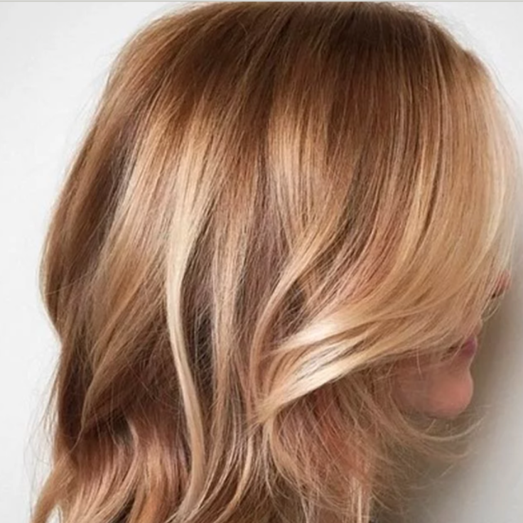 Retouch and Haircut at Adorned Hair Artistry by Morgan in Zeeland, MI