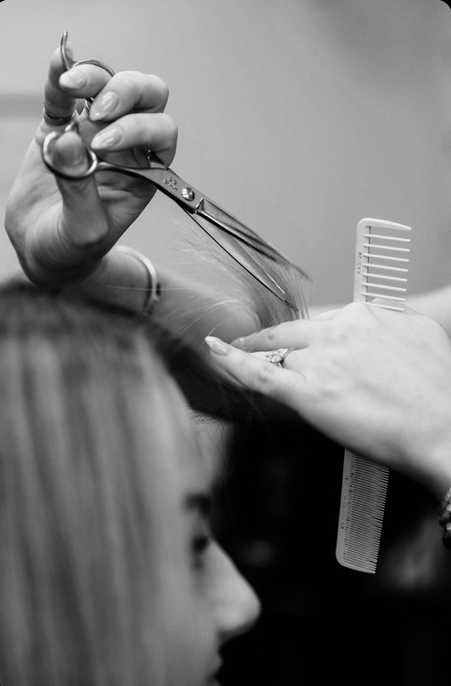 Dry Haircut