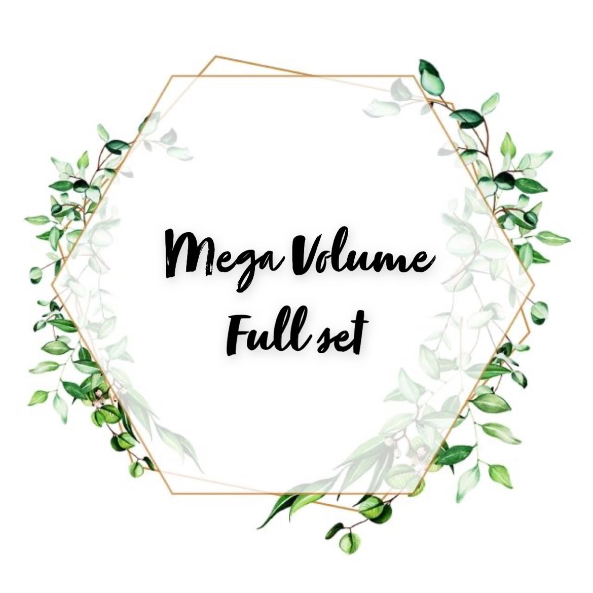 Mega Volume Fullset
