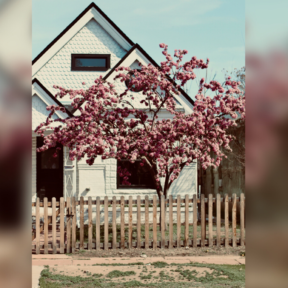 Residential Standard Cleaning at Top Tier Cleanliness LLC